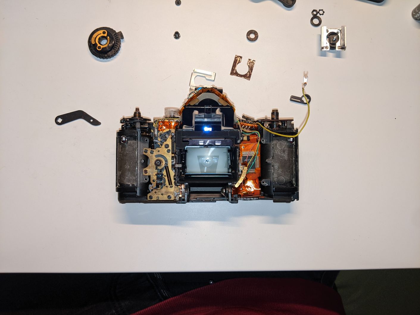 gallery photo 17
